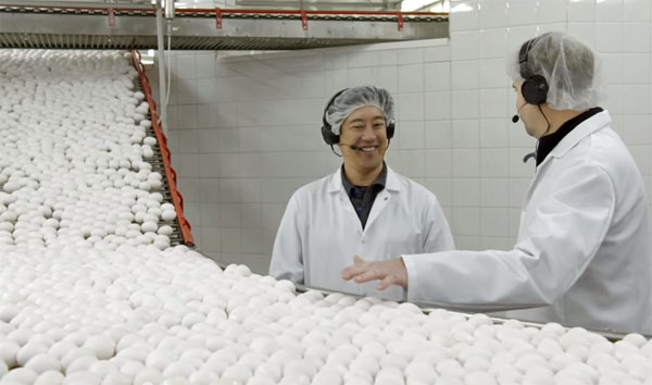 McDonald's Eggs